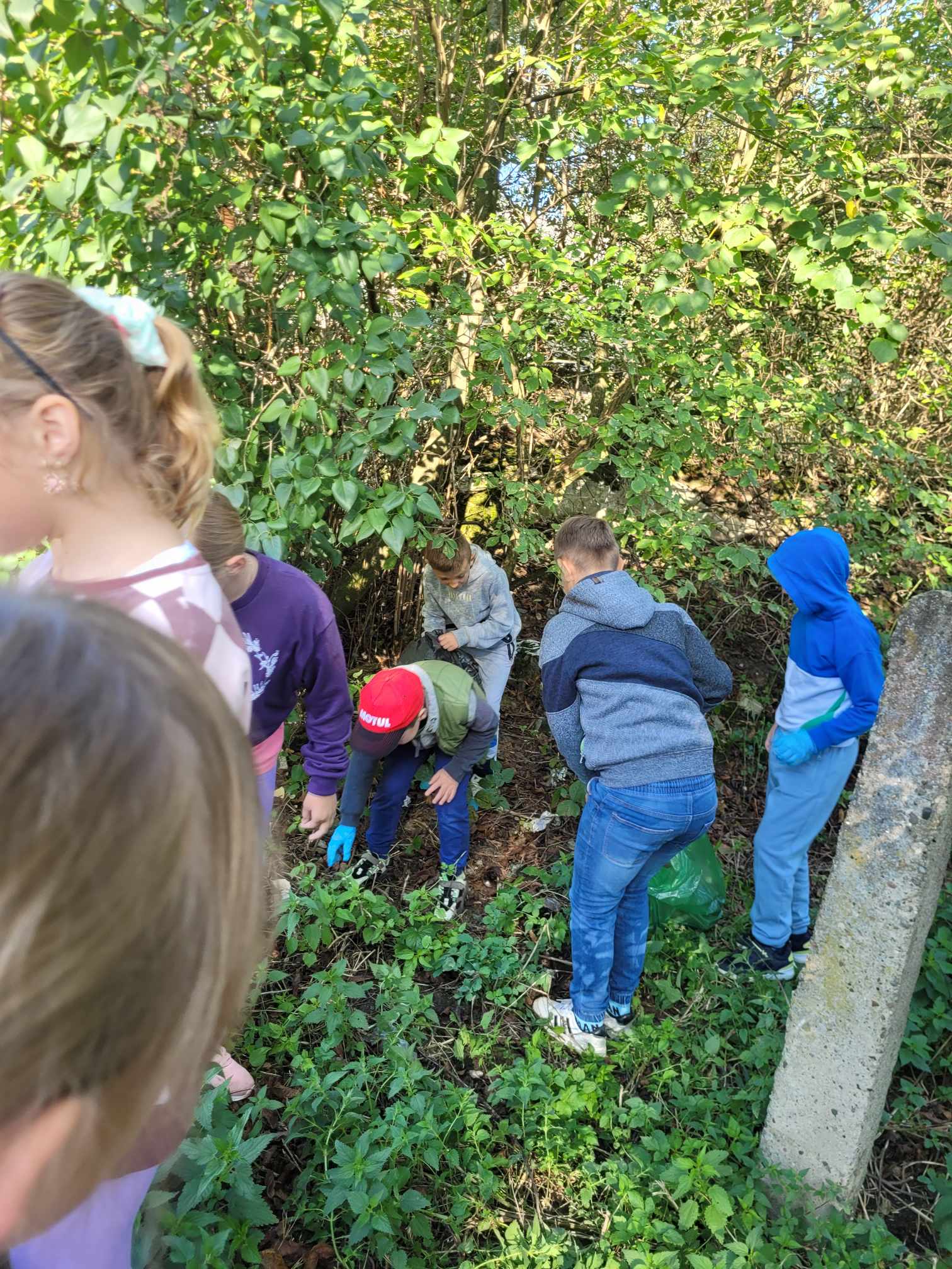 31. Akcja Sprzątanie Świata – Polska!